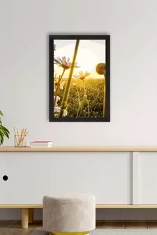 Beautiful Daisy Flower Satin Matt Texture UV Art Painting