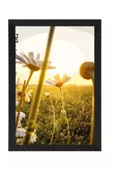 Beautiful Daisy Flower Satin Matt Texture UV Art Painting
