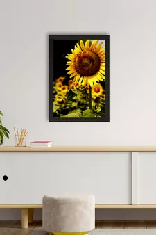 Sunflower on Sunny Say Satin Matt Texture UV Art Painting