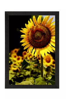 Sunflower on Sunny Say Satin Matt Texture UV Art Painting