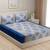 Floral print        Cotton Fitted Double Bedsheet with   Pillow Covers   Blue