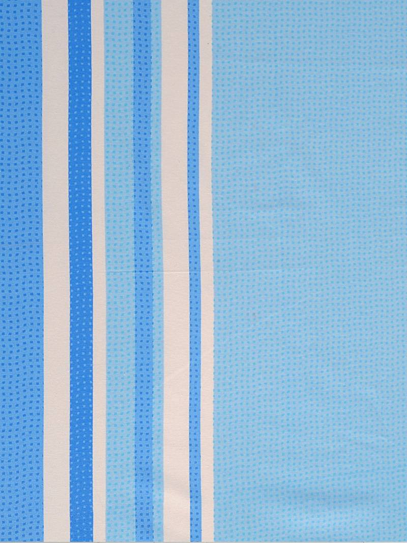 0  Stripes Print Cotton Extra Large Bed Sheet with   Pillow Cover   Blue  White
