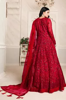 Red embroidered net salwar suit