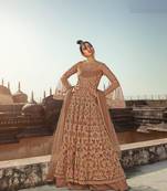 Beige Soft Net Embroidered Platted Anarkali Style Suit