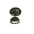 Black gold plated Brass Alloy   pair of Earring