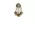 Gold gold plated Brass Alloy   pair of Earring