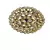 Black gold plated Brass Alloy   pair of Earring