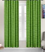Green polyester Printed Net  curtains