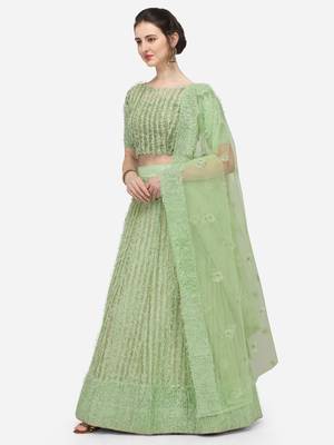 Green Net Embroidered Semi-Stitched Lehenga & Unstitched Blouse with Dupatta 2