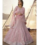 Blush Pink Embroidered Lehenga Choli