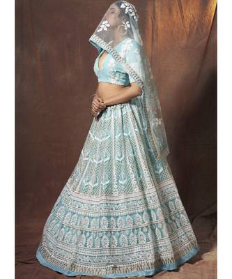 Baby Blue And White Floral Embroidered Lehenga Choli 2