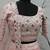 Powder Pink Multi-thread with gota patti Embroidered Georgette Semi-stitched Lehenga