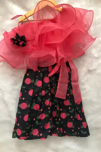 Ruffled Crop top with flowered Palazzo