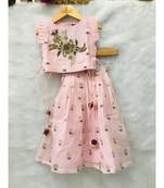 Hand Work Embroidered Top with Pleated Silk Skirt