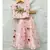 Hand Work Embroidered Top with Pleated Silk Skirt
