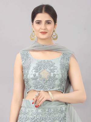 grey embroidered net lehenga-choli with dupatta 4