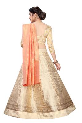 beige embroidered jacquard lehenga-choli with dupatta 2