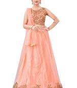 peach embroidered net lehenga-choli with dupatta