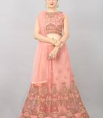 peach embroidered net lehenga-choli with dupatta