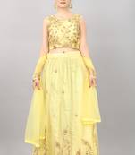 yellow embroidered net lehenga-choli with dupatta