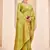 Light green Banarasi with Patola Weaving Silk Traditional Rajwadi saree