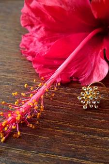 Sizzling gold spikes cubic zirconia nose-ring or nosepin