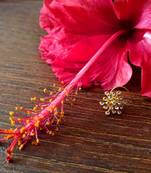 Sizzling gold spikes cubic zirconia nose-ring or nosepin