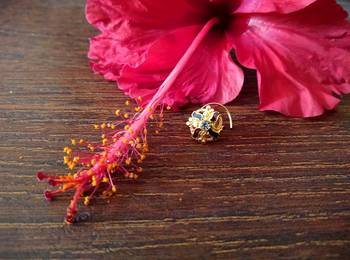Sizzling gold meenakari cubic zirconia nose-ring or nosepin 1