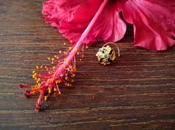 Sizzling gold meenakari cubic zirconia nose-ring or nosepin 2