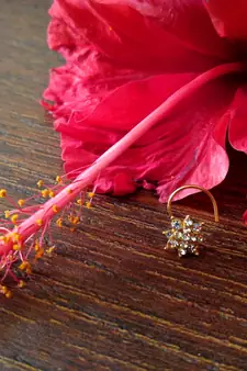 Sizzling gold floral 13 diamond cubic zirconia nose-ring or nosepin