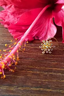 Sizzling Gold Spikes cubic zirconia nose-ring or Nosepin 	