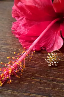 Sizzling Gold Spikes cubic zirconia nose-ring or Nosepin 	
