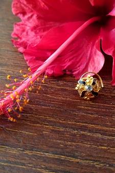 Sizzling gold meenakari cubic zirconia nose-ring or nosepin