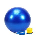 Exercise Gym Ball 75cm with Pump
