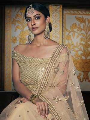 Beige embroidered net semi stitched lehenga 2