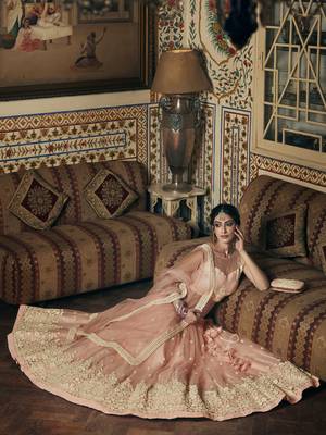 Pink embroidered net semi stitched lehenga 4
