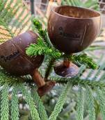 INDIBAM's Polished Coconut Wine Cup,450ML,Coconut Glass- Ideal for White Or Red Wine, Natural Brown colour.2 Pcs.