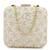 Anekaant Vista Beige & Gold Faux Silk Ditsy Embellished Clutch