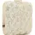 Anekaant Vista Beige & Gold Faux Silk Ditsy Embellished Clutch