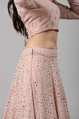 Light-pink embroidered georgette semi stitched lehenga 3