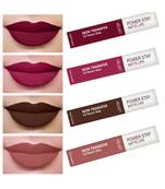 Liquid Matte Lipstick  Waterproof combo of 4 (Upto12 Hrs Stay) (Cherry Red  Pink Prom  Bon Bon Brown  Visionary Nude)