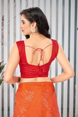 Multicolor embroidered chiffon saree with blouse 5