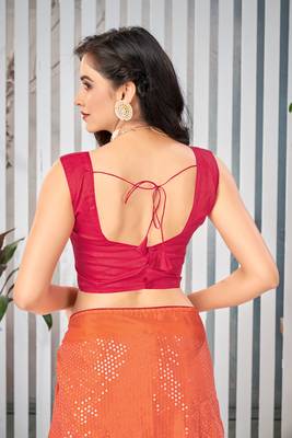 Multicolor embroidered chiffon saree with blouse 5