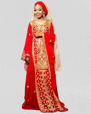 Red Georgette Aari work Kaftan 2