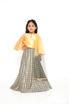 Mango/Grey Embroidered Sleeve Choli with Banarasi Brocade Lehenga & Net Dupatta for Girl Kids 1