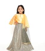 Mango/Grey Embroidered Sleeve Choli with Banarasi Brocade Lehenga & Net Dupatta for Girl Kids