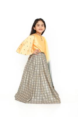 Mango/Grey Embroidered Sleeve Choli with Banarasi Brocade Lehenga & Net Dupatta for Girl Kids 2
