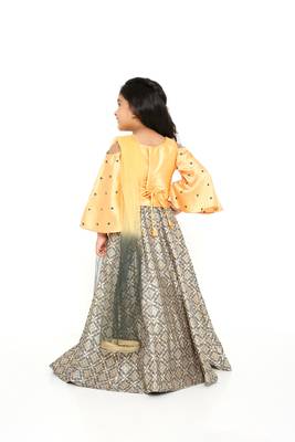 Mango/Grey Embroidered Sleeve Choli with Banarasi Brocade Lehenga & Net Dupatta for Girl Kids 4