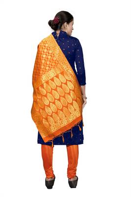 Blue resham woven jacquard salwar 2