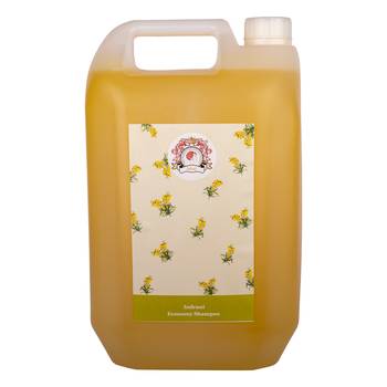 5litre Economy Regular Shampoo 5